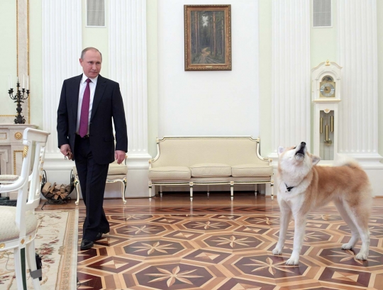 Akrabnya Putin dan anjing lucu hadiah dari Jepang