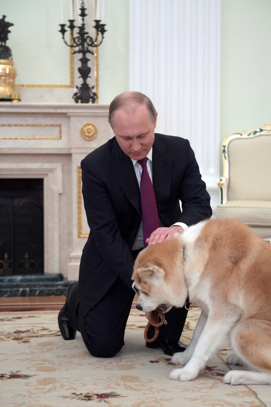 Akrabnya Putin dan anjing lucu hadiah dari Jepang