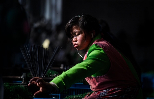 Ternyata begini pembuatan pohon Natal