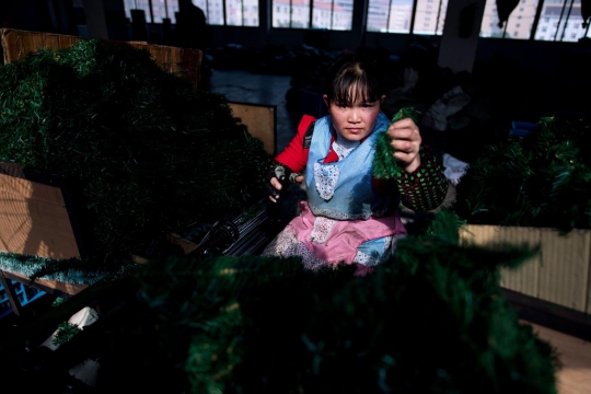 Ternyata begini pembuatan pohon Natal