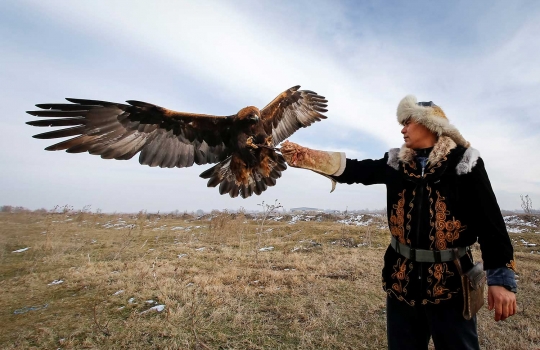 Melihat cara orang Kazakhtan melatih elang emas sampai jinak