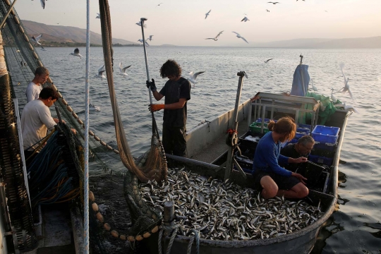 Penampakan Danau Tiberias di Israel yang kian surut