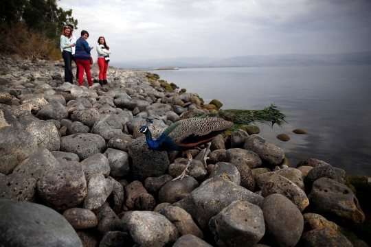 Penampakan Danau Tiberias di Israel yang kian surut