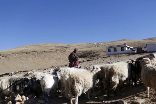 Kisah heroik dokter sukarela di desa terpencil Tibet