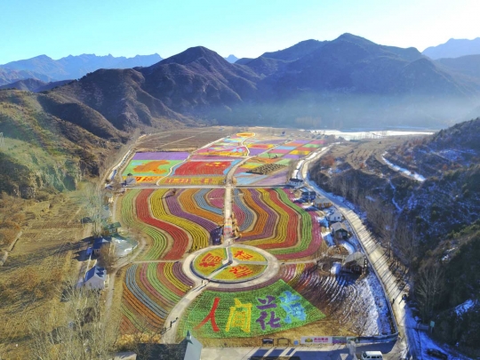 Indahnya warna-warni taman kincir angin di Beijing