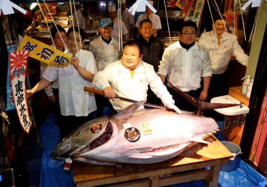 Ini wujud ikan tuna raksasa seharga Rp 8,5 miliar