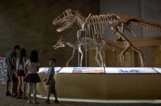 Menelusuri jejak peradaban dinosaurus di Gurun Gobi