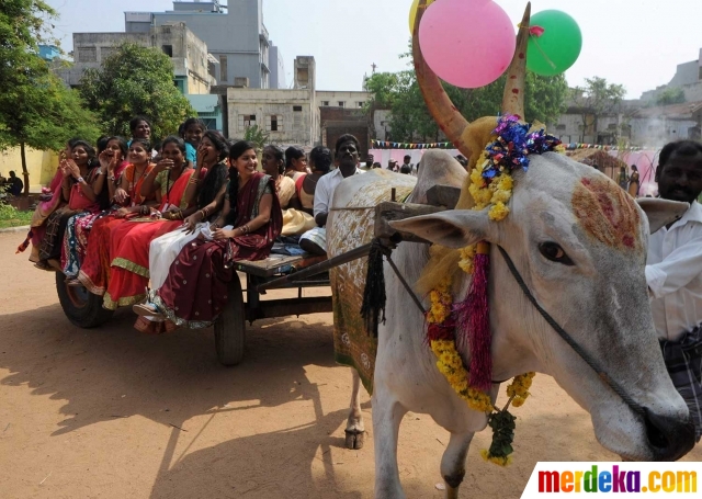 Foto : Intip wanita-wanita cantik India rayakan festival 