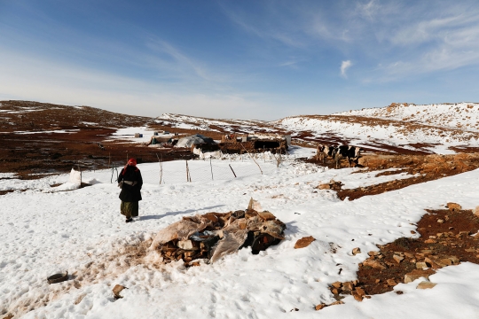 Penampakan fenomena langka Gurun Sahara diselimuti salju