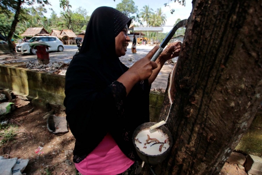 Kisah muslim di Thailand bertahan hidup dari karet