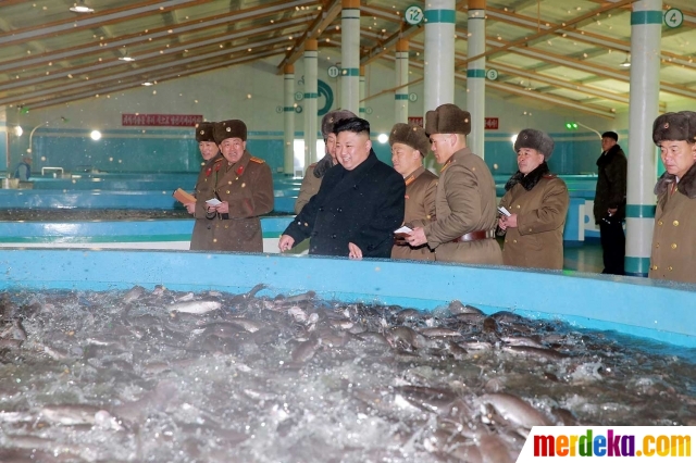 Foto : Begini ekspresi Kim Jong-un saat lihat ikan lele 