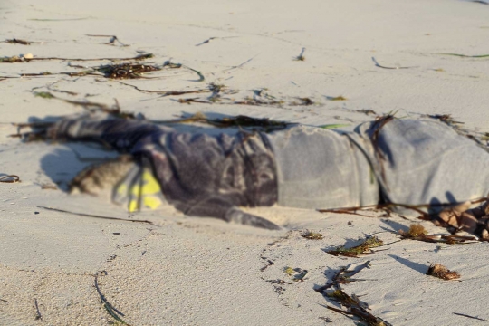 Tragis, mayat-mayat imigran bergelimpangan di pantai Libya