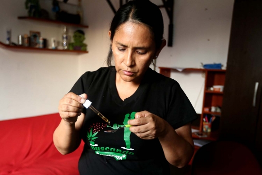 Menenangkan epilepsi dengan minyak ganja