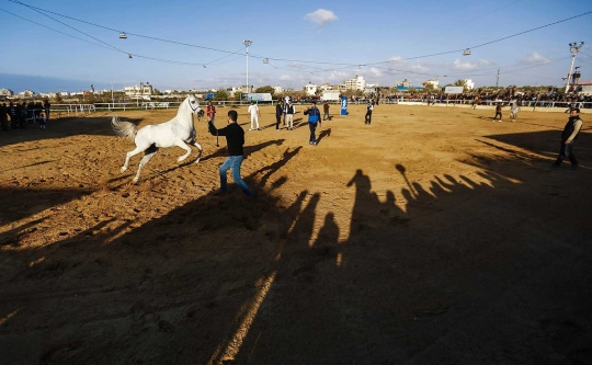 Aksi koboi Palestina di Arabian Horse Show