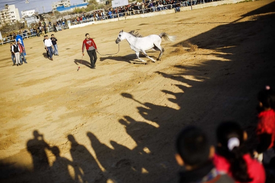 Aksi koboi Palestina di Arabian Horse Show
