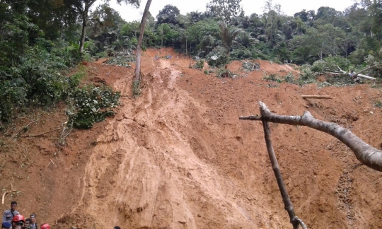 Tanah longsor telan 8 mobil di Sumbar