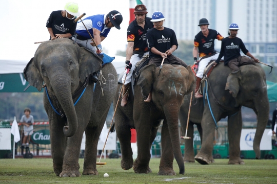 Ketika gajah Bangkok berkompetisi di turnamen polo