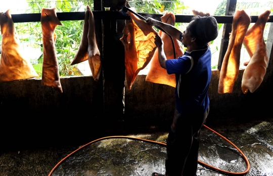 Melihat pembuatan kerupuk kulit sapi di Katulampa