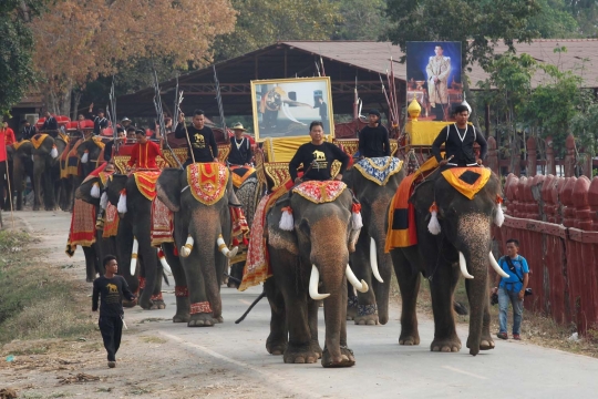 Semarak perayaan Hari Gajah di Thailand