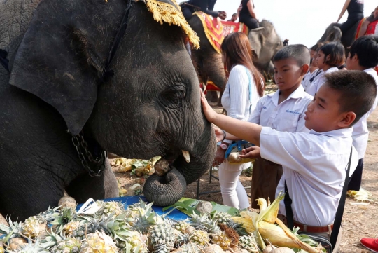 Semarak perayaan Hari Gajah di Thailand