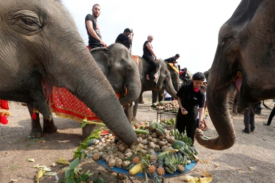 Semarak perayaan Hari Gajah di Thailand