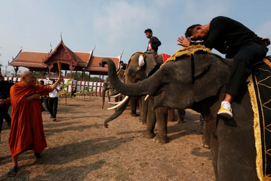 Semarak perayaan Hari Gajah di Thailand