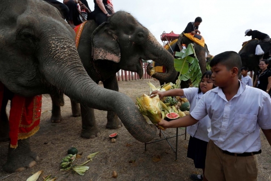 Semarak perayaan Hari Gajah di Thailand