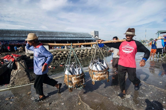 Mengintip perburuan hiu di Lamongan