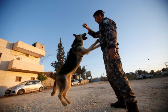 Melihat cara polisi Palestina melatih anjing agar mematuhi perintah