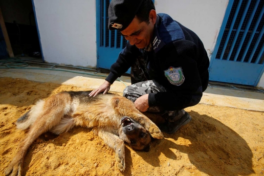 Melihat cara polisi Palestina melatih anjing agar mematuhi perintah