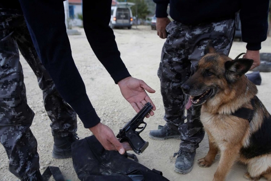 Melihat cara polisi Palestina melatih anjing agar mematuhi perintah