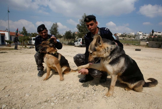 Melihat cara polisi Palestina melatih anjing agar mematuhi perintah