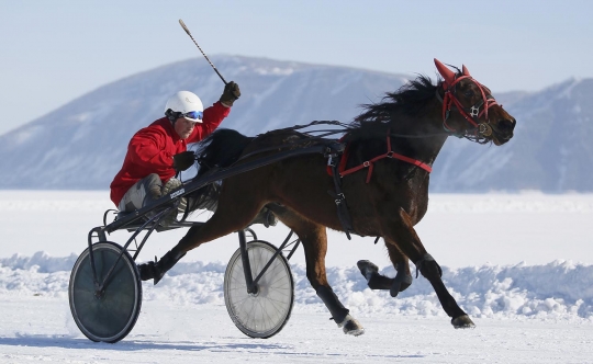 Keseruan balap kuda di atas sungai beku Rusia