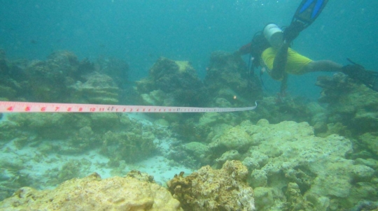 Terumbu karang Raja Ampat riwayatmu kini