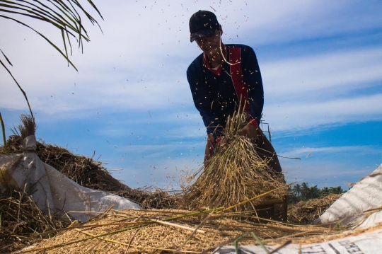 Peluh keringat para Buruh Bawon