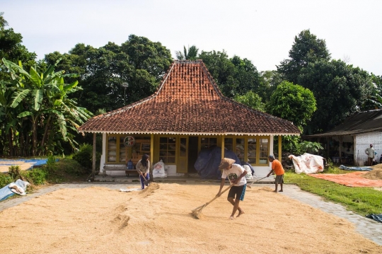 Peluh keringat para Buruh Bawon