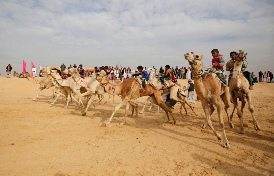 Aksi anak-anak di Mesir jadi joki balapan unta