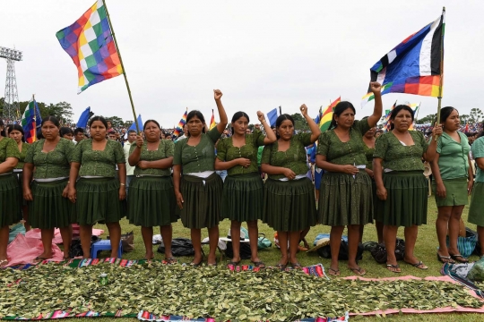 Melihat daun kokain raksasa di Bolivia