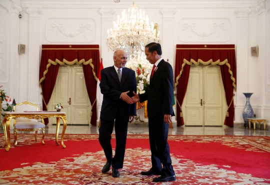 Keakraban Jokowi sambut kunjungan bersejarah Presiden Afghanistan