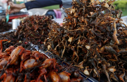 Mencicipi serangga goreng, cemilan ekstrem ala Kamboja