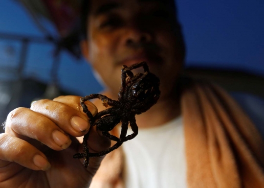 Mencicipi serangga goreng, cemilan ekstrem ala Kamboja