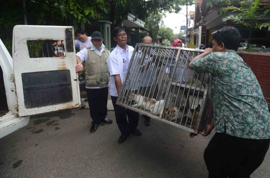 Antisipasi rabies, hewan peliharaan warga Pulogebang divaksin