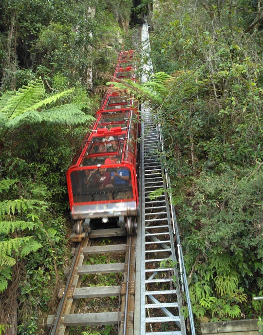 Bertualang dan melihat keindahan di Blue Mountain Australia