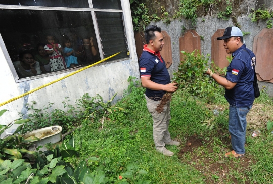 BNN razia ladang khat di Puncak Bogor