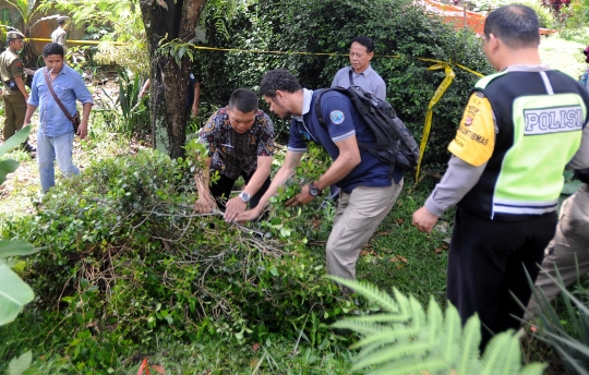 BNN razia ladang khat di Puncak Bogor