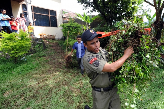 BNN razia ladang khat di Puncak Bogor