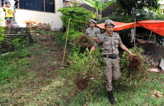 BNN razia ladang khat di Puncak Bogor