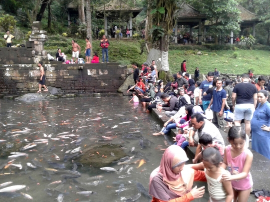 Mengunjungi pemandian Jolotundo, mata air terbaik setelah zamzam