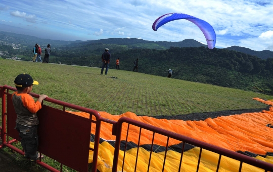 Uji adrenalin terbang dengan paralayang di Puncak