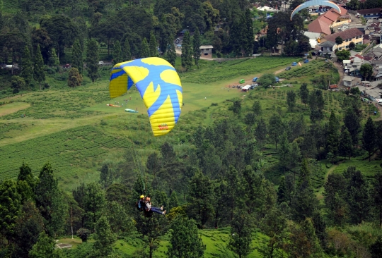 Uji adrenalin terbang dengan paralayang di Puncak